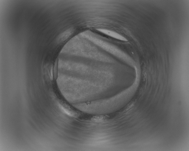 X0000062130076200512301512