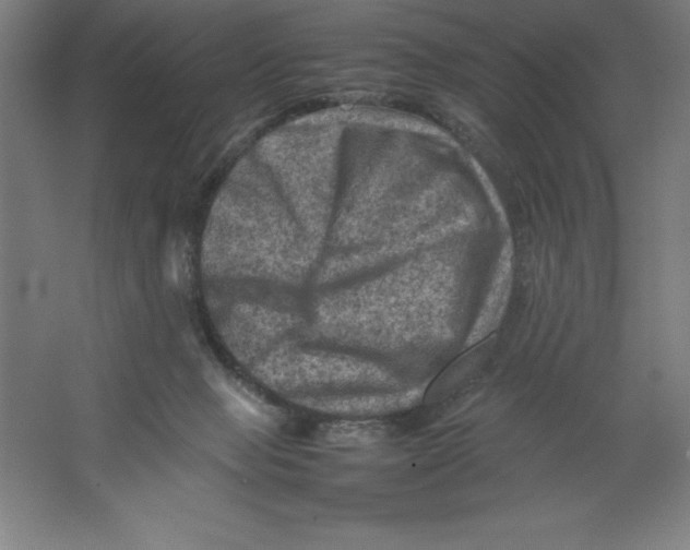 X0000062130077200512301512