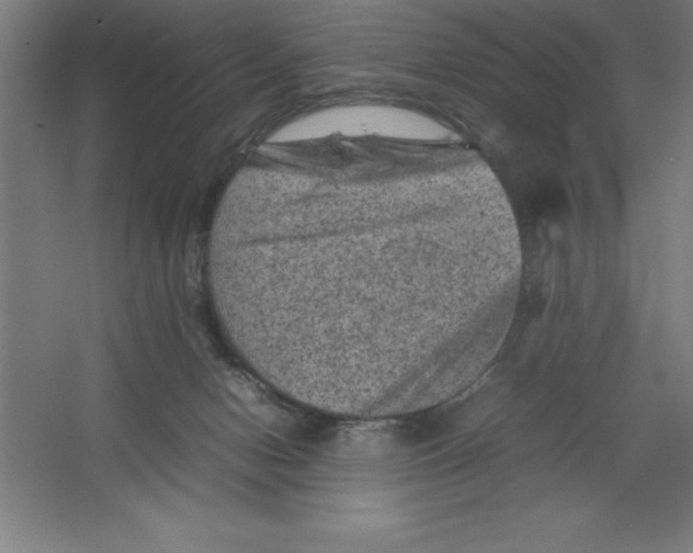 X0000062130078200512301512