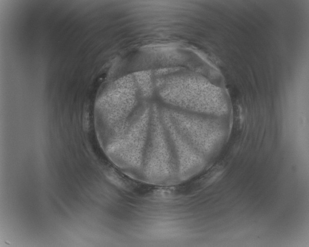 X0000062130080200512301512