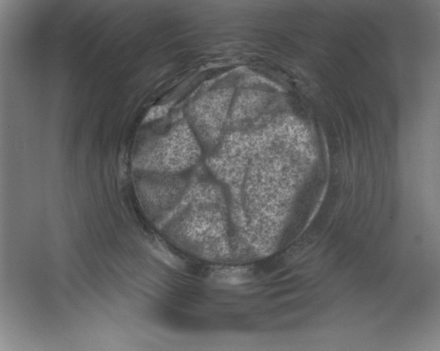 X0000062130081200512301512