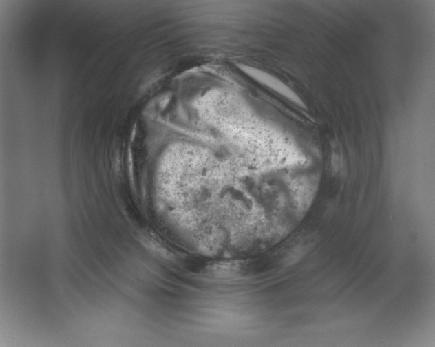 X0000062130084200512301512