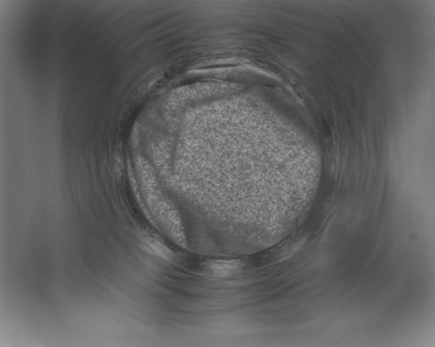 X0000062130085200512301512