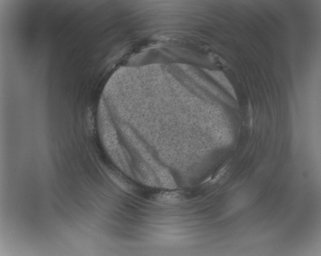 X0000062130086200512301512