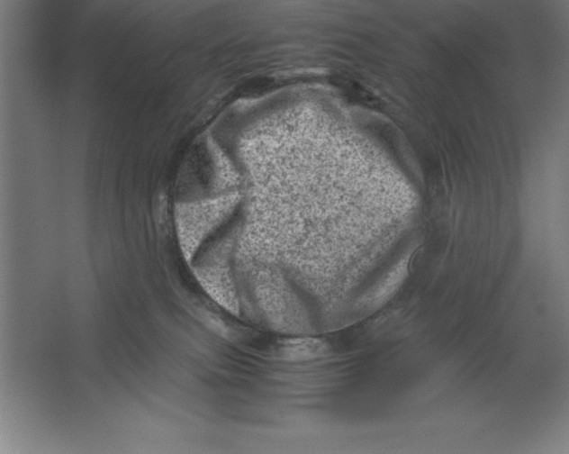 X0000062130087200512301512