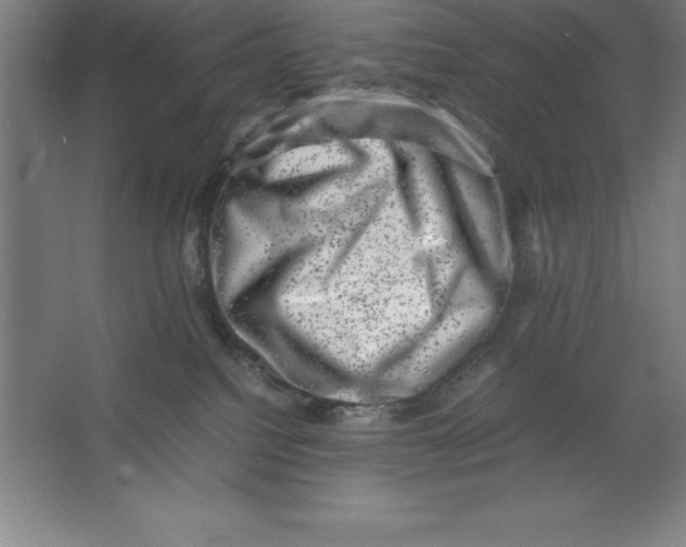 X0000062130088200512301512