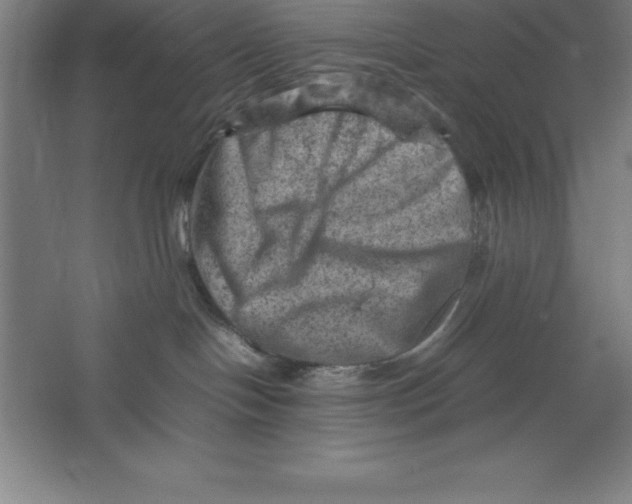 X0000062130094200512301512