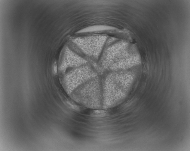 X0000062130095200512301512