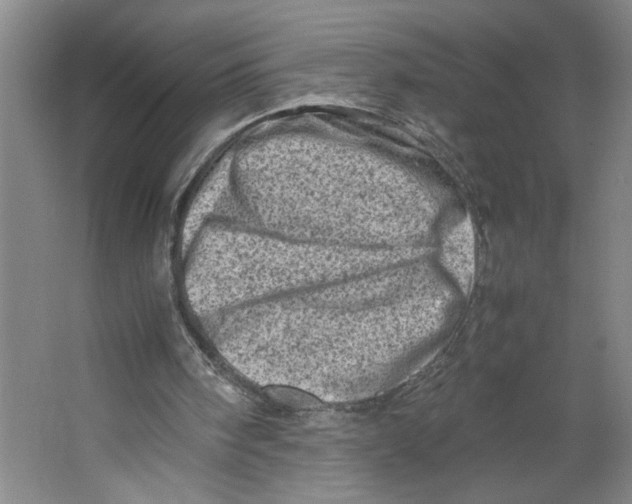 X0000062130098200512301512