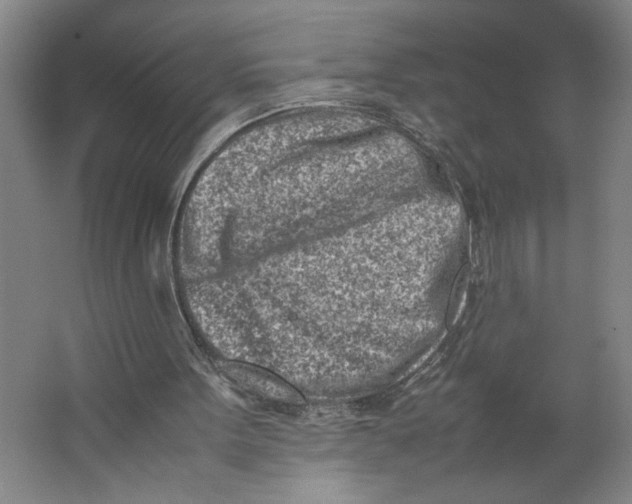 X0000062130099200512301512