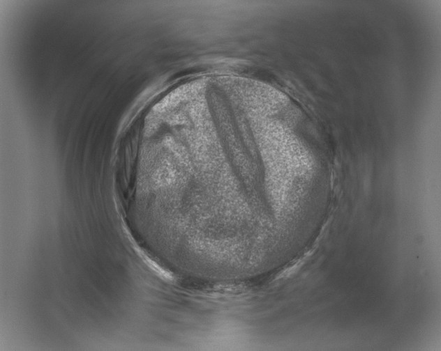 X0000062130101200512301512