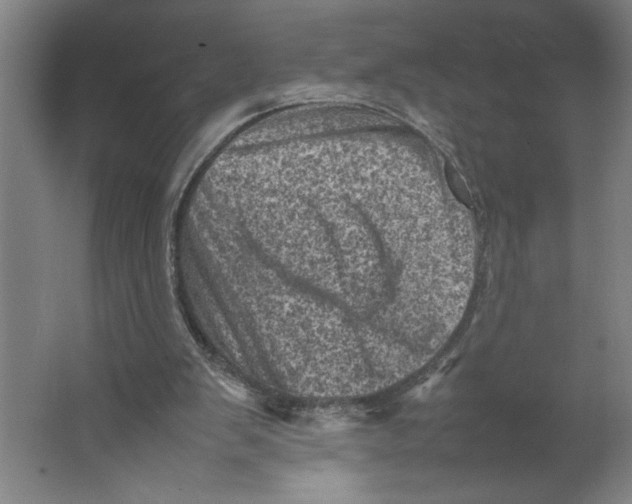 X0000062130103200512301512