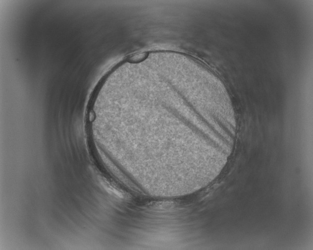 X0000062130104200512301512