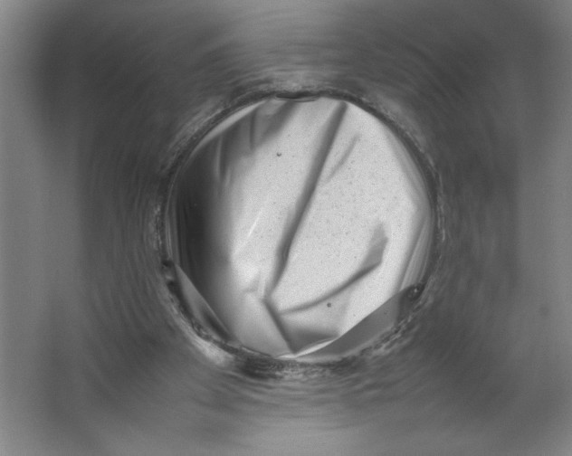 X0000062130105200512301512