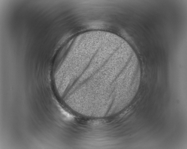 X0000062130106200512301512