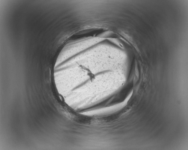 X0000062130109200512301511