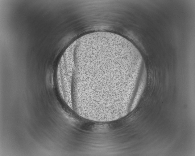 X0000062130110200512301511