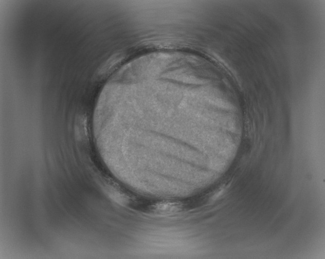 X0000062130117200512301511