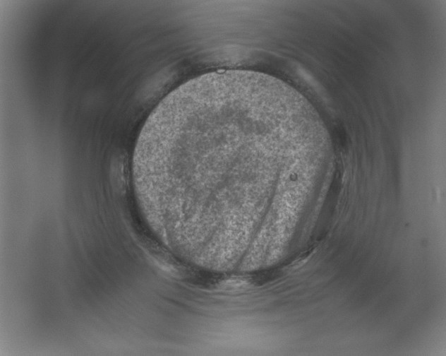 X0000062130119200512301511