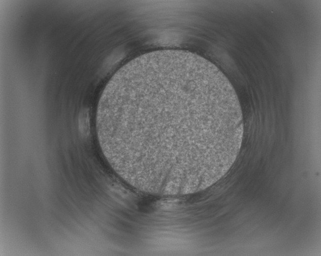 X0000062130120200512301511