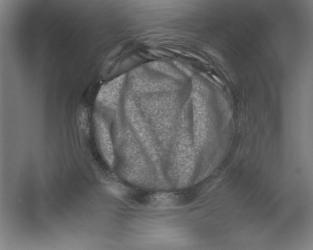 X0000062130121200512301511