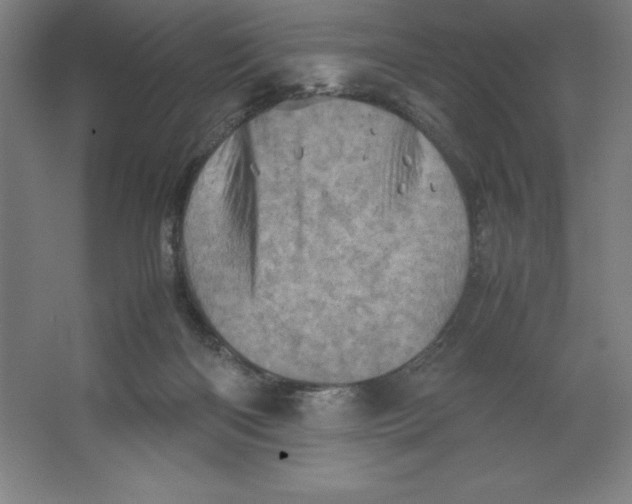 X0000062130122200512301511