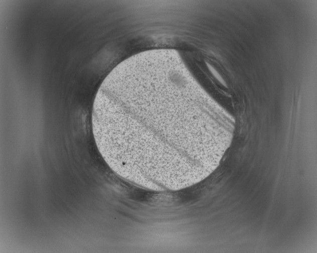 X0000062130123200512301511