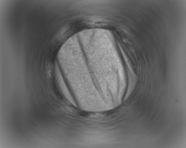 X0000062130125200512301511