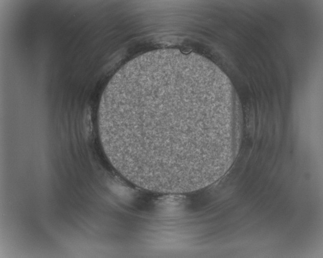 X0000062130128200512301511