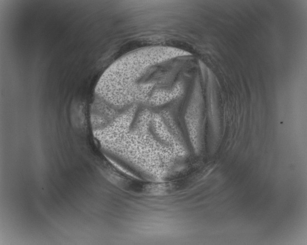 X0000062130131200512301511