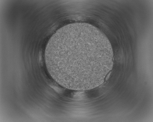 X0000062130132200512301511