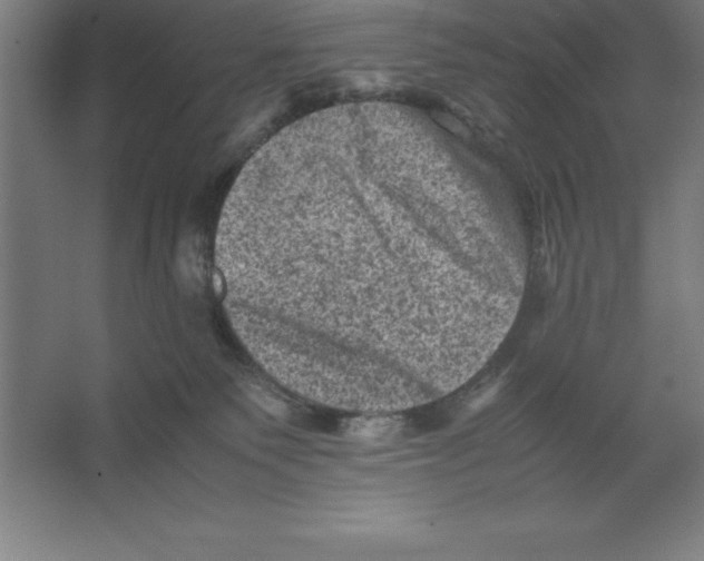 X0000062130135200512301511