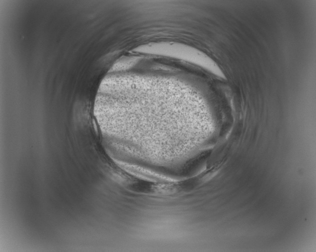 X0000062130141200512301511