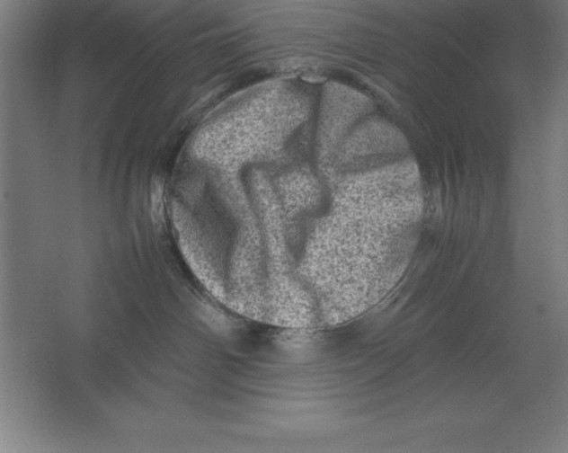 X0000062130142200512301511