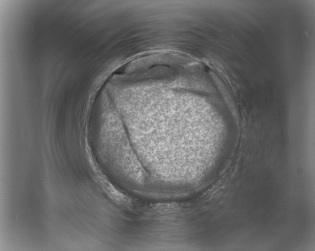 X0000062130145200512301510