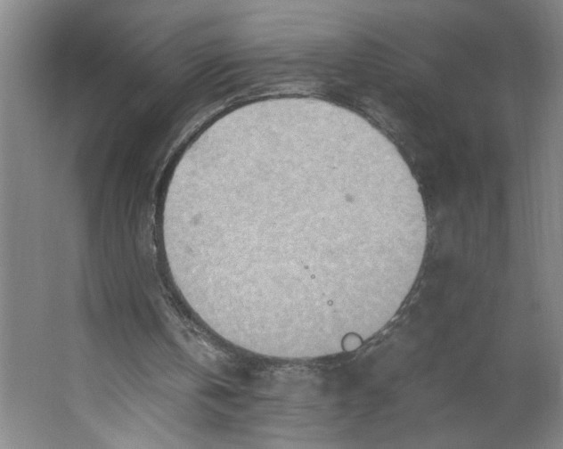 X0000062130146200512301510