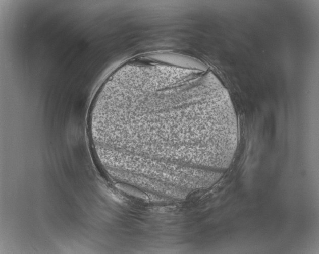 X0000062130147200512301510