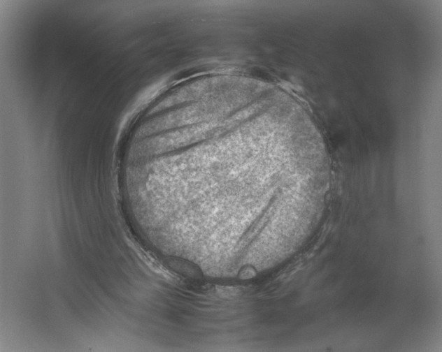 X0000062130149200512301510