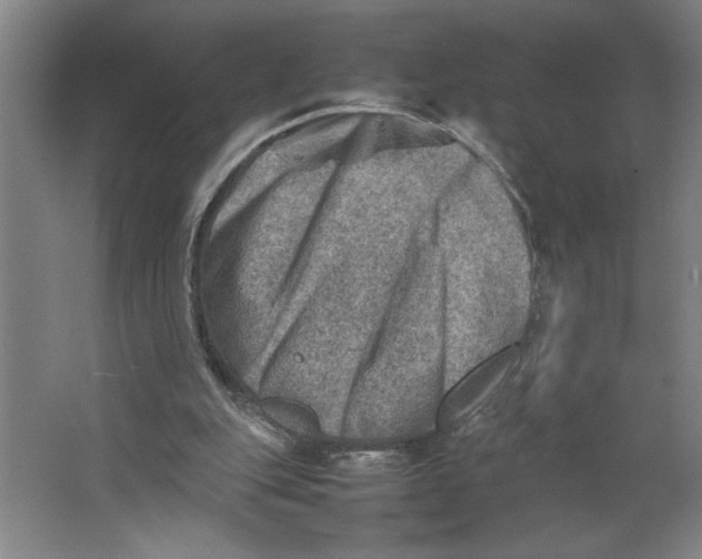 X0000062130151200512301510