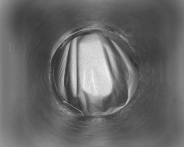 X0000062130152200512301510