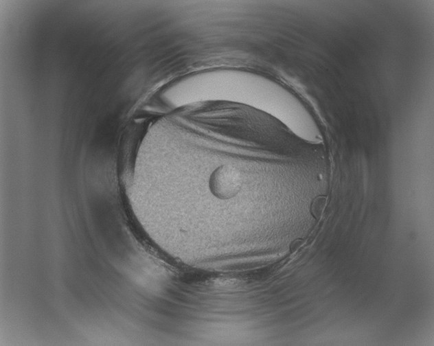 X0000062130154200512301510