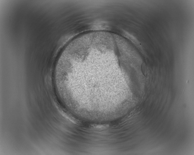 X0000062130155200512301510