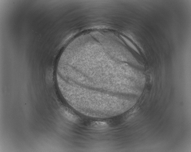 X0000062130159200512301510