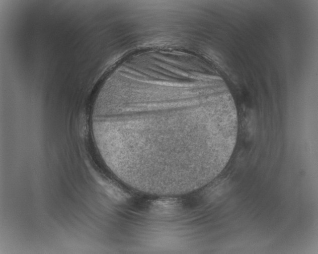 X0000062130164200512301510