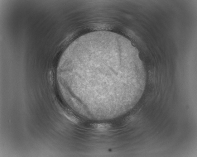 X0000062130165200512301510