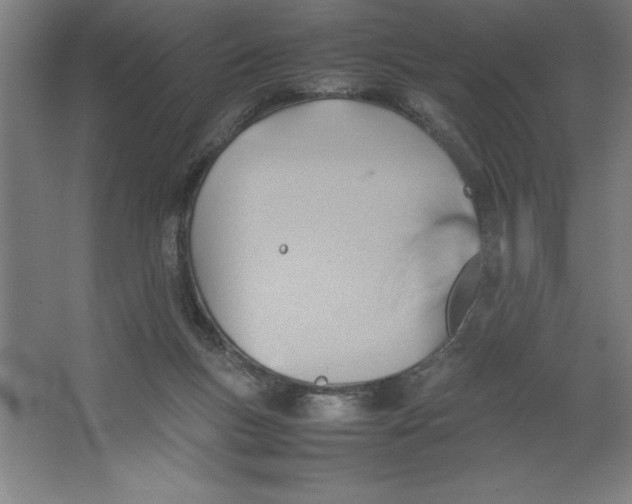 X0000062130167200512301510