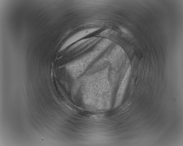 X0000062130168200512301510