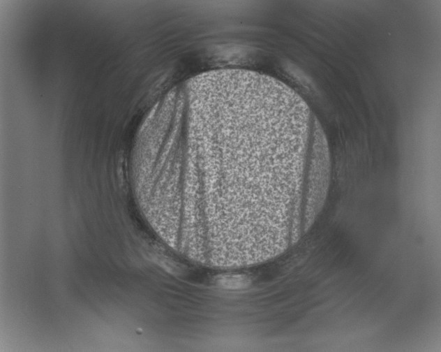 X0000062130169200512301510