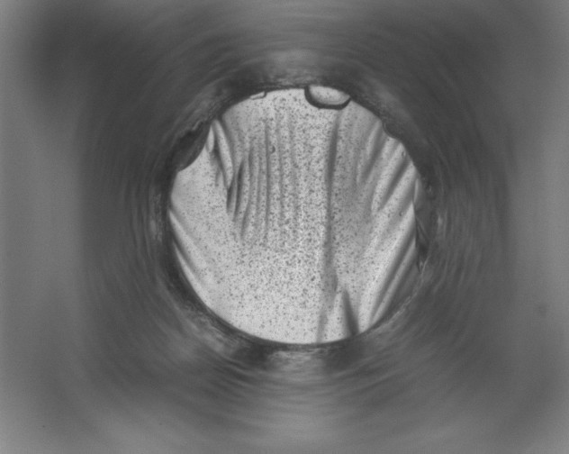 X0000062130170200512301510