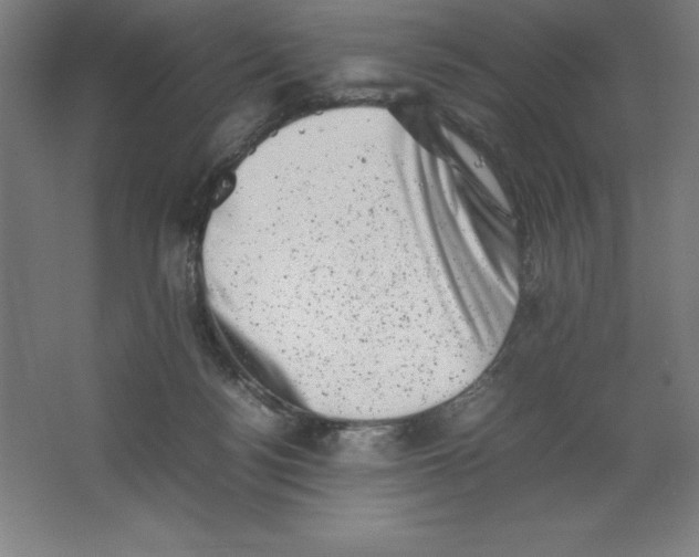 X0000062130172200512301511